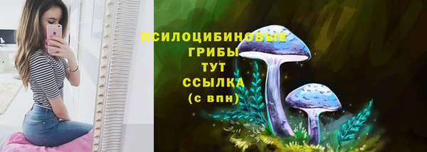 твердый Волосово