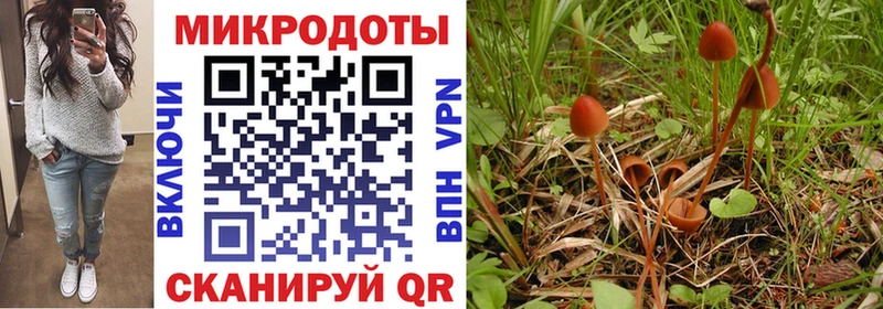 Купить  Котельники  Галлюциногенные грибы мицелий 