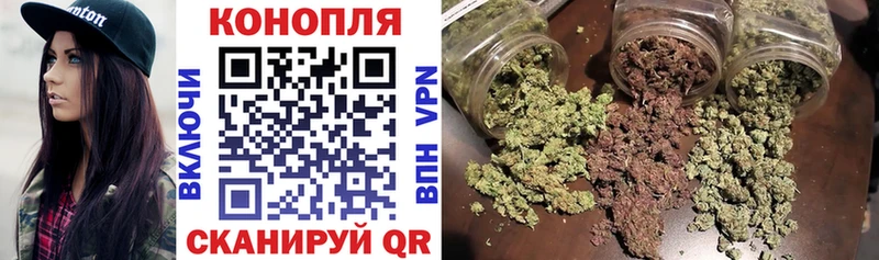 Шишки марихуана MAZAR  Купить  Котельники 